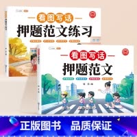 [学练结合]看图写话押题范文+练习 [正版]看图写话一二年级小学生押题范文看图说话写话提升训练看图写话一升二年级幼小衔接
