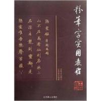 正版新书]粉笔字实用教程王贵喜9787540227678