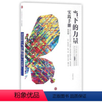 [正版]书籍当下的力量实践手册(白金版)[德] 埃克哈特·托利 励志与成功出版