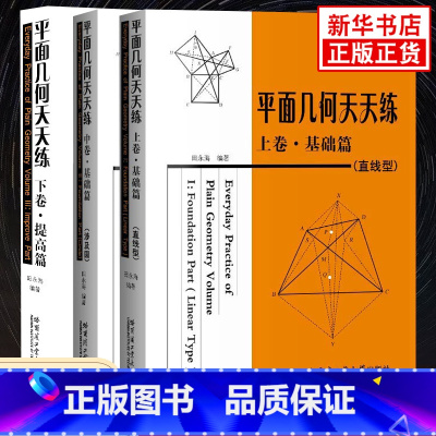 [正版]平面几何天天练 上卷直线型中卷涉及圆下卷提高篇 套装3册 初中高中平面几何专项强化培优训练习题学习资料 哈尔滨