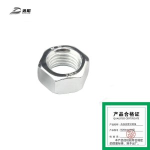 达昭 高强度镀锌螺母 M20mm 8.8级(1个)