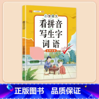 [拼音强化]看拼音写词语 五年级上 [正版]阅读理解专项训练书小学五年级下册上册语文英语每日一练人教版5下课内课外文言文