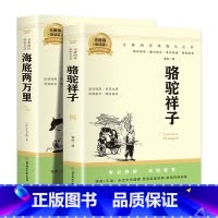 [两本+考点手册]组合套装海底+骆驼 [正版]赠阅读手册骆驼祥子和海底两万里名著版书原著老舍小学生7七年级不必读课外书人