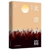 正版新书]北漂诗篇(第六卷)师力斌安琪主编9787517139942