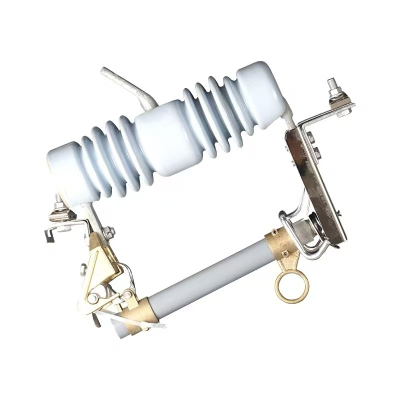 兴京阳 跌落式熔断器 RW12-12KV100A 个