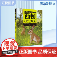 无敌长耳兔(注音)[加]西顿/ 原著fbz安韶编/安徽少年儿童出版社 外国文学/动物小说