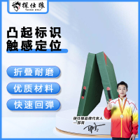 探仕狼 TSL-T211仰卧卷腹训练垫仰卧起坐折叠垫[牛津布两折叠] 5个装 200*100*10cm