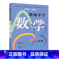 精编导学ABC:数学 八年级 [正版]精编导学ABC数学八年级 陈国强周周练段段清进化中学规律基础难点重点知识要求文本