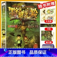 25.稻草人之乡 [正版]墨多多谜境冒险全套29册阳光板海龟岛的者不死国的生命树外星怪客迷境秘境历险记末日浮空城30