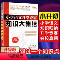 [正版]2023新小学毕业升学总复习68所小升初知识大集结小学语文升学夺冠语文基础知识小升初总复习小学毕业升学复习资料