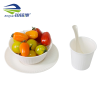 铂锜澳 一次性餐具套装/100套/件 件