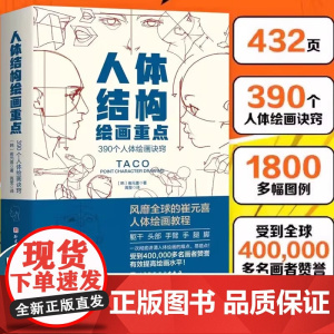 人体结构绘画重点 (韩)崔元喜 提升角色表现力吸引力人体绘画指南特定线条形状使角色更具说服力美术学画画艺术 人体绘画教