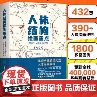 人体结构绘画重点 (韩)崔元喜 提升角色表现力吸引力人体绘画指南特定线条形状使角色更具说服力美术学画画艺术 人体绘画教