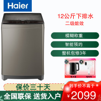 海尔(Haier)波轮洗衣机全自动家用12公斤大容量 幂动力少缠绕智能预约自编程洗衣机 XQB120-F128