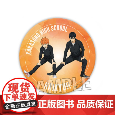 [正版日谷]排球少年 热身运动 训练 双人闪闪吧唧徽章