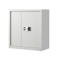 东升顺指纹电子保密柜钢制密码文件柜档案柜办公柜矮柜保密资料柜单节白色:国保锁