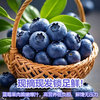 [苏鲜生]云南新鲜蓝莓 2盒 100g/盒 单果15mm+