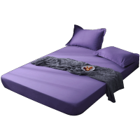 美帮汇全棉床笠单件床罩套全包防尘罩床垫保护套棕垫定制防滑床单