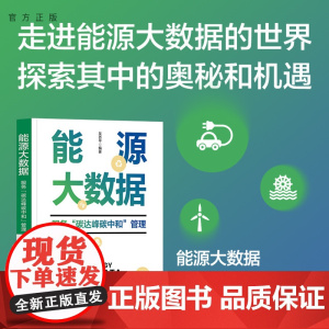 [正版新书] 能源大数据——服务“碳达峰碳中和”管理 吴杏平 清华大学出版社 能源,大数据