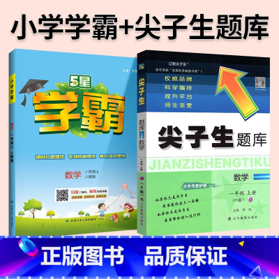 难度升级[尖题+学霸]数学 人教版 2本 二年级下 [正版]2024春尖子生题库二三年级四五年级六一年级上下册数学语文人