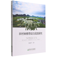 音像农村转移劳动力回流研究黄敦平|责编:白留杰//杨晓莹