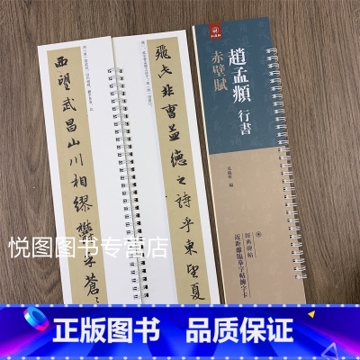 [正版]赵孟頫行书赤壁赋 经典碑帖近距离临帖练习字卡 弘蕴轩编 赵孟俯行书字帖 全文无删减 赵体毛笔书法碑帖 学生成人临