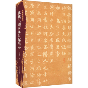 正版新书]北朝墓志精选 北魏王诵妻元贵妃墓志娄红卫 编97875401