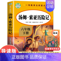 六下]汤姆·索亚历险记 [正版]快乐读书吧六年级上册下册课外阅读书爱的教育小英雄雨来童年鲁滨孙漂流记汤姆索亚历险记爱丽丝