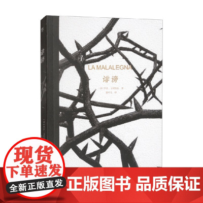 诽谤 罗莎·文特雷拉 著 小说