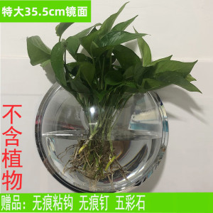 维诺亚墙上装饰品墙面壁饰创意家居卧室挂饰塑料花盆壁挂卫生间挂件