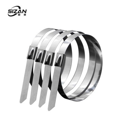 斯赞 304不锈钢扎带自锁式捆绑扎带 4.6*300mm 100条/包