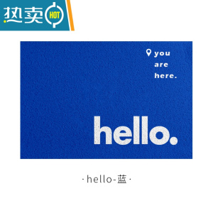 敬平入户门进门门口玄关门厅耐脏防滑除尘创意ins丝圈地毯地垫脚垫子防滑垫 丝圈-hello-蓝
