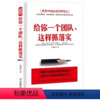 [正版]给你一个团队这样抓落实 中国式企业管理成功励志领导力 带团队书籍