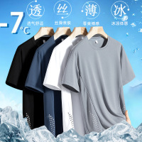 冰丝短袖T恤男夏季宽松纯色打底衫圆领套头青年运动速干男上衣潮