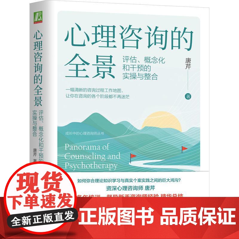 心理咨询的全景 评估概念化和干预的实操与整合 唐芹著 一幅清晰的咨询过程工作地图让你在各个阶段都不再迷茫 心理咨询师手边