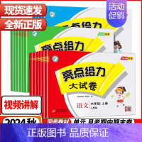 语文--人教版 六年级上 [正版]2024秋亮点给力大试卷江苏版人教版苏教版小学一二三四五六年级上册试卷测试卷全套语文数