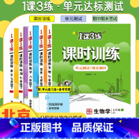 物理全一册[北京专版] 八年级上 [正版]任选北京版一课三练课时训练语文数学英语地理政治生物七八九年级上下册初一二初三1