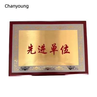 晨洋(Chanyoung)可定制奖牌摆件 HYBG012 块