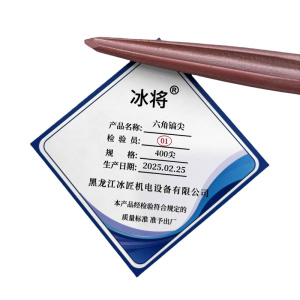 冰将 电锤尖扁凿子六角镐尖冲击钻头 个