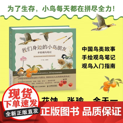 我们身边的小鸟朋友 手绘观鸟笔记 丫丫鱼 著 科普读物