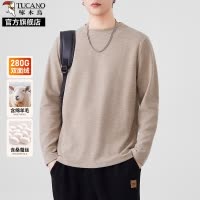 啄木鸟重磅桑蚕丝绵羊毛长袖t恤男士2025秋季新款圆领内搭打底衫K