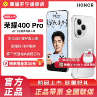 赠蓝牙耳机 荣耀400 Pro 16GB+512GB 揽月银 5G智能手机 新款