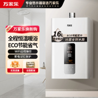 万家乐 16升燃气热水器 升级0.1度恒温智能变升 ECO节能电辅防冻WIFI智控 天然气16DP1(F)