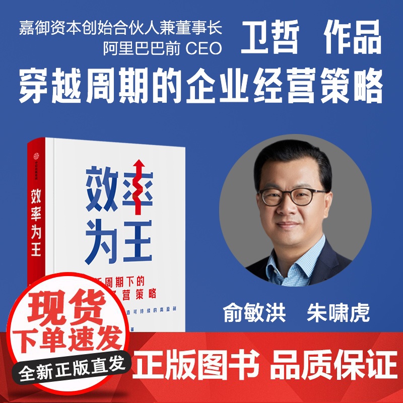 效率为王 新周期下的企业经营策略 卫哲著 在当下效率提升的九大心法 提升效率的策略和方法 中信出版社