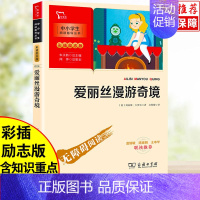 [正版]爱丽丝漫游仙境六年级下册原著阅读无障碍阅读版导读文学小学生一二三四五六年级彩图漫画无障碍阅读 经典世界图书
