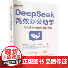 [新华]DeepSeek高效办公助手 朱浩崴,王四平,胡景添 正版书籍 店 团结出版社