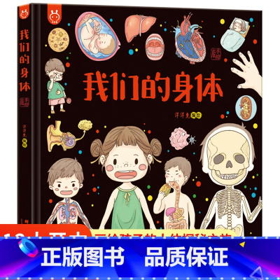 我们的身体(洋洋兔) [正版]精装我们的节日 画给孩子的中国传统节日6-9岁儿童中华传统节日故事绘本幼儿园图画书 我们的