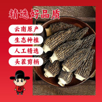 田知府 羊肚菌30g(袋装)