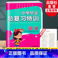 语文 小学升初中 [正版]小学毕业总复习特训 语文 人教版同步小升初中语文专项复习训练卷六年级下升学辅导资料必刷真题考试