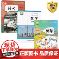 [深圳适用]正版2025适用人教版初中7七年级上册语文+北师大版数学+沪教版英语全套3本初一上册语文数学英语全套教材课本